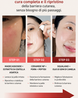 Kombucha-Pflanzen-Biom-Serum