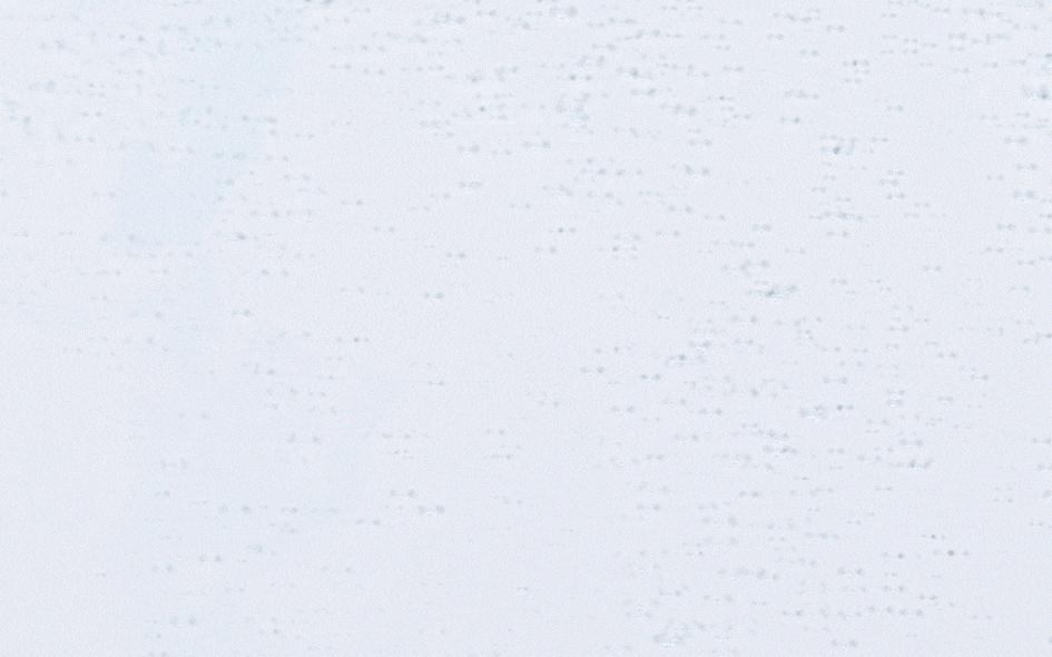 VT HYDROP REEDLE SHOT 100hL