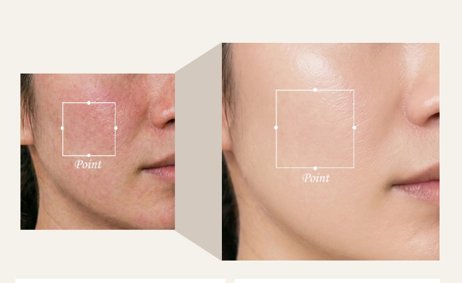 Kombucha-Pflanzen-Biom-Serum