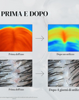VT PDRN REEDLE SHOT HAIR AMPULLE 100dl