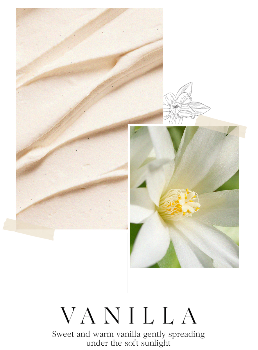 BEAUTY OF MAJESTY Perfume Body Lotion