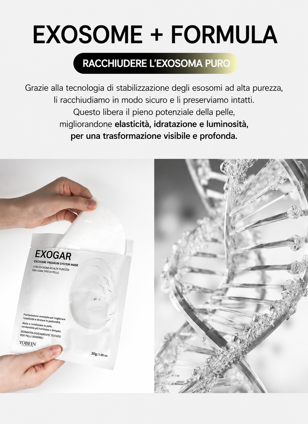VEMONTES EXOGAR TRASER MASK (5ea)