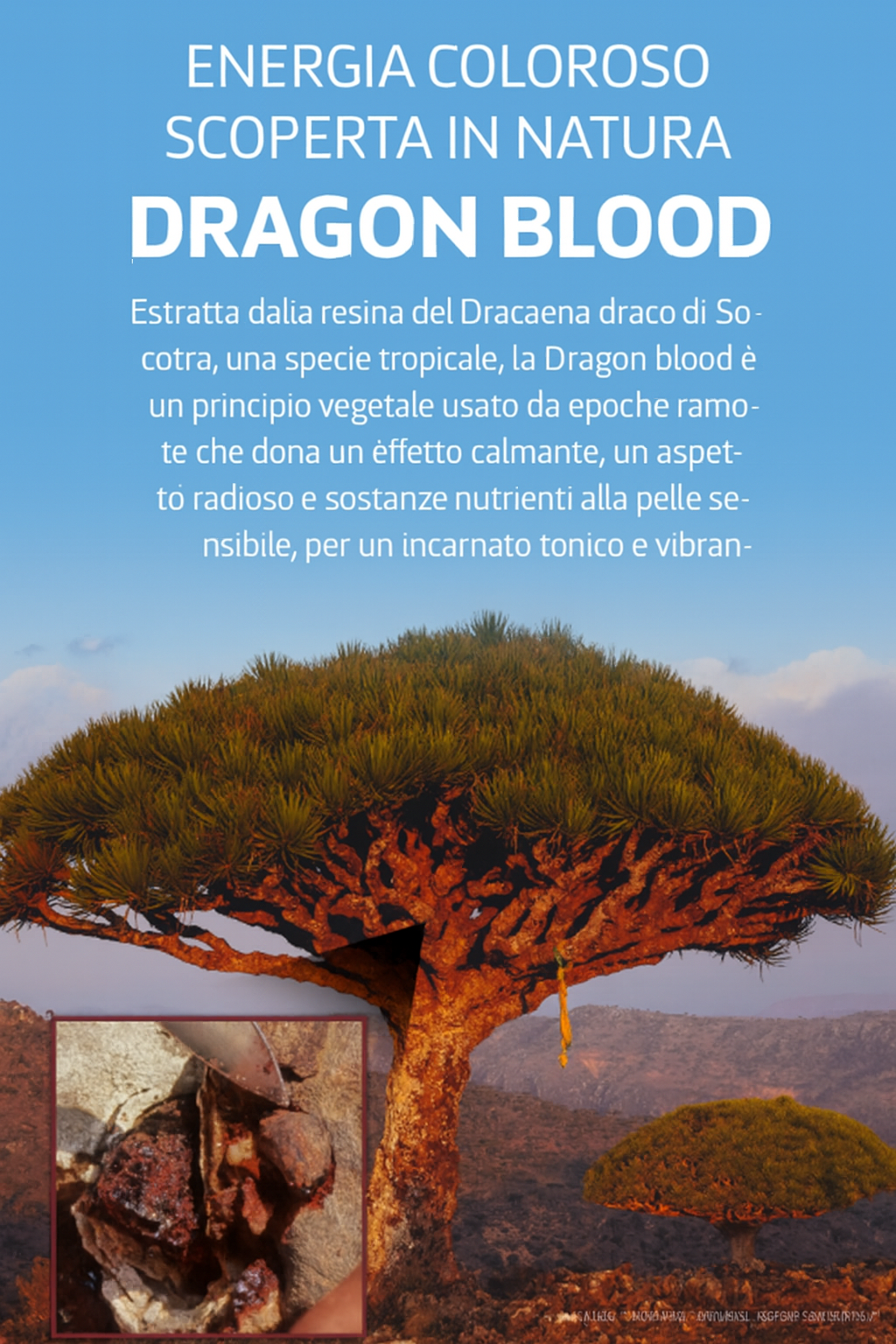 VT RED BOOSTER REEDLE SHOT 100