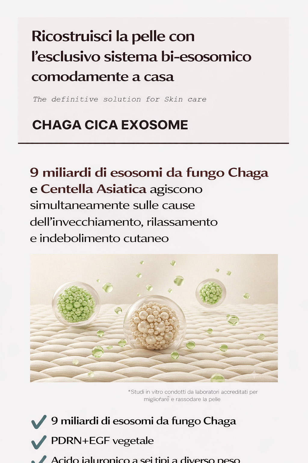 DDALMOMDE CHAGA-SET