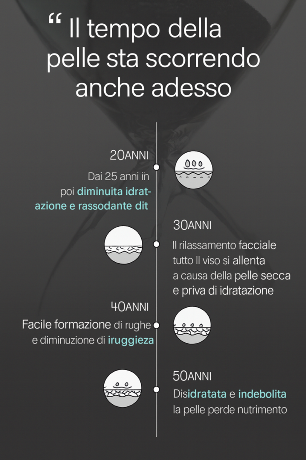 VT PDRN REEDLE SHOT 100