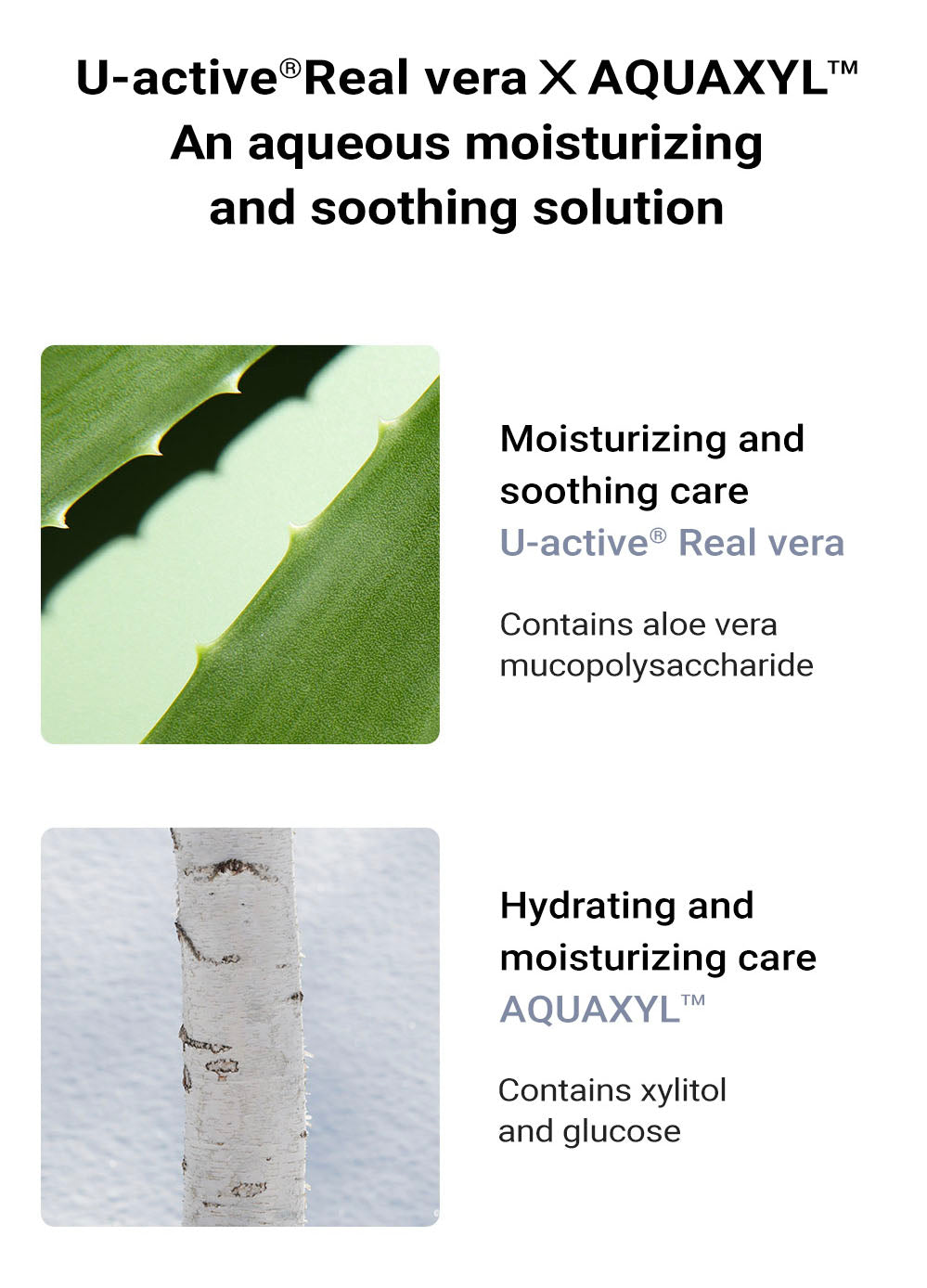 idPLACOSMETICS Real After Care Mask (5 pieces)