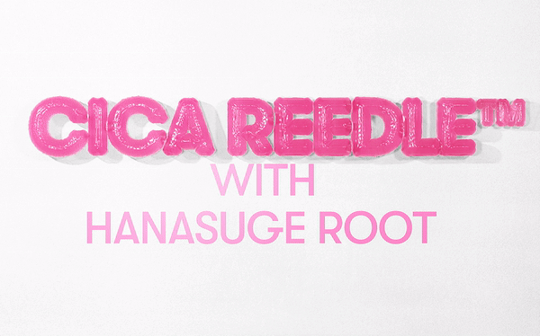 VT REEDLE SHOT LIP PLUMPER ANFÄNGER